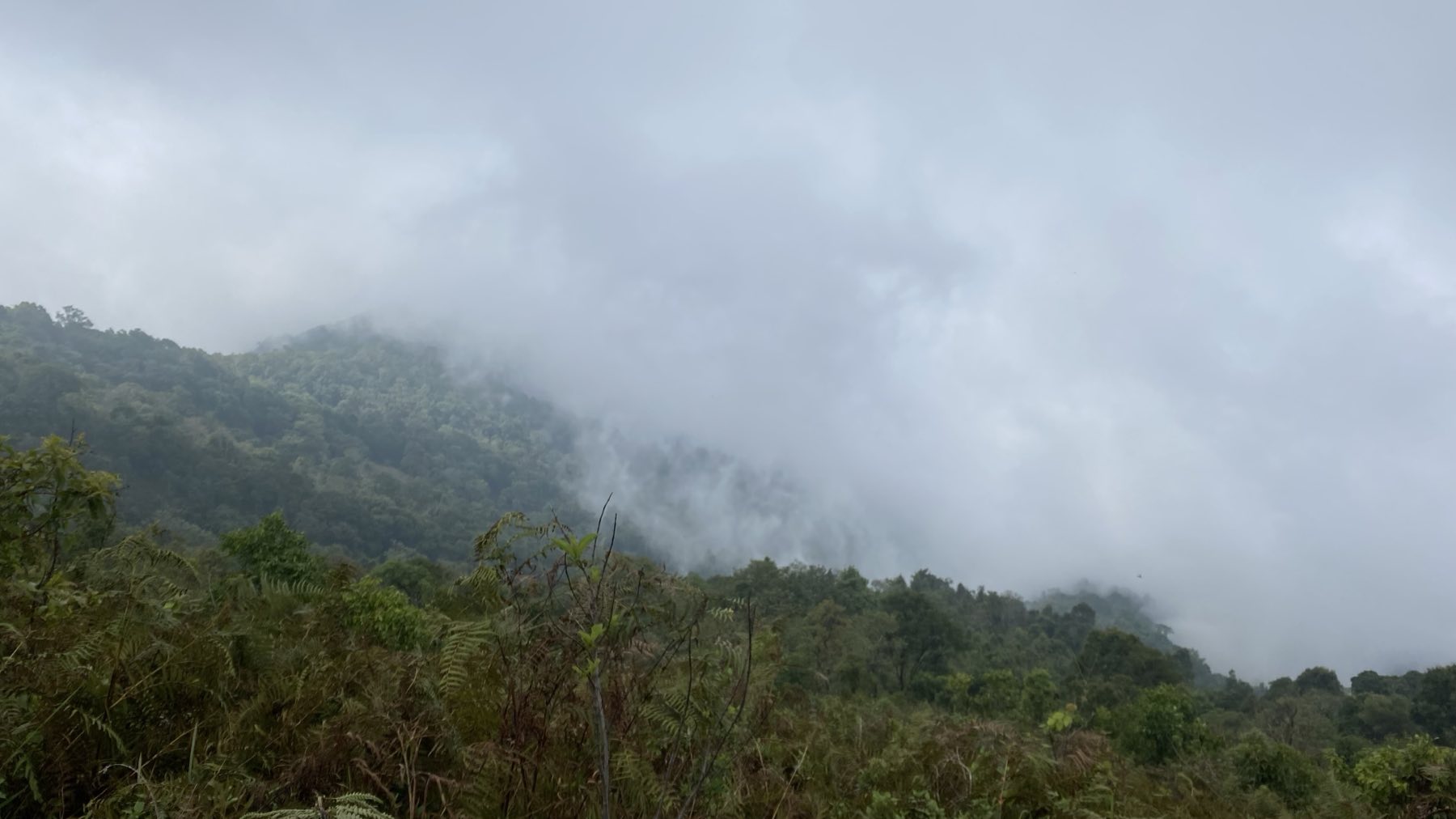 Low cloud closing over forested hills in Umphang, western Thailand.